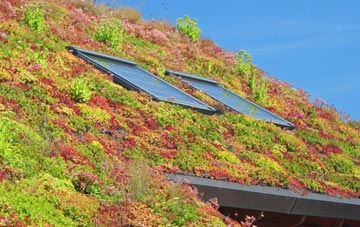 Barney living roof systems